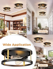 2-Light Black Flush Mount Ceiling Lamp