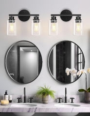 2-Light Black Bathroom Vanity Lamp