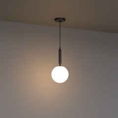 1-Light Black Globe Pendant Light