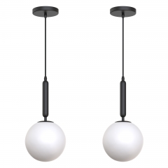 1-Light Black Globe Pendant Light