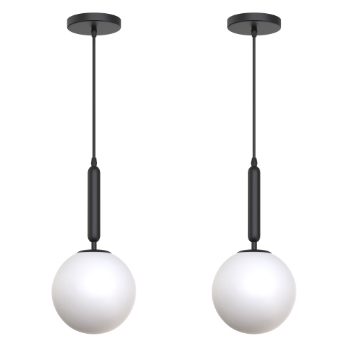 1-Light Black Globe Pendant Light