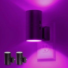 PURPLE Light Vintage LED Night Light