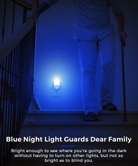 Oval Shape 30/60LM BLUE LED Night Light