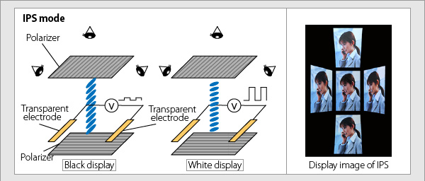 3 Differences Between TN Screen And IPS Screen