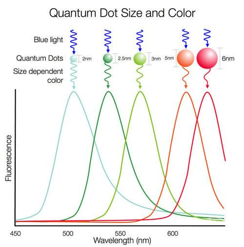 What Is Quantum Dot Display?
