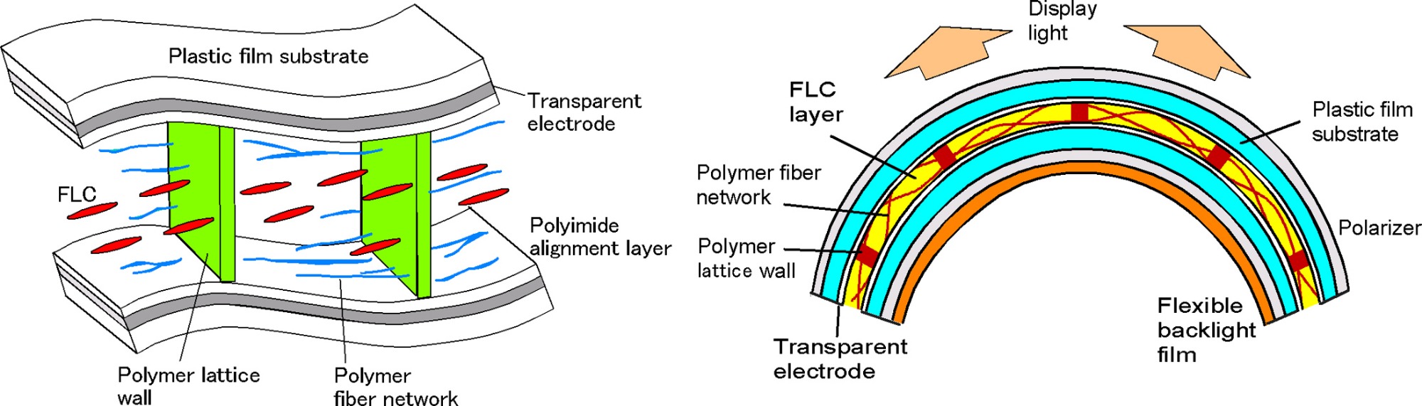 Embracing the Future: Flexible and Transparent Backlighting for TFT Screens