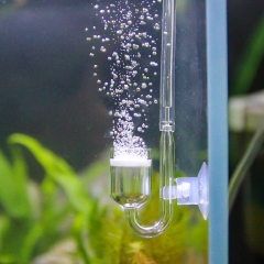 CO2-Diffusor aus Glas