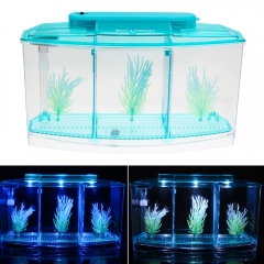 Triple Betta Tank mit LED-Leuchten