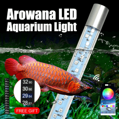 Arowana que liga a luz de controle remoto submersa 6W / 12W do aquário do RGB do diodo emissor de luz