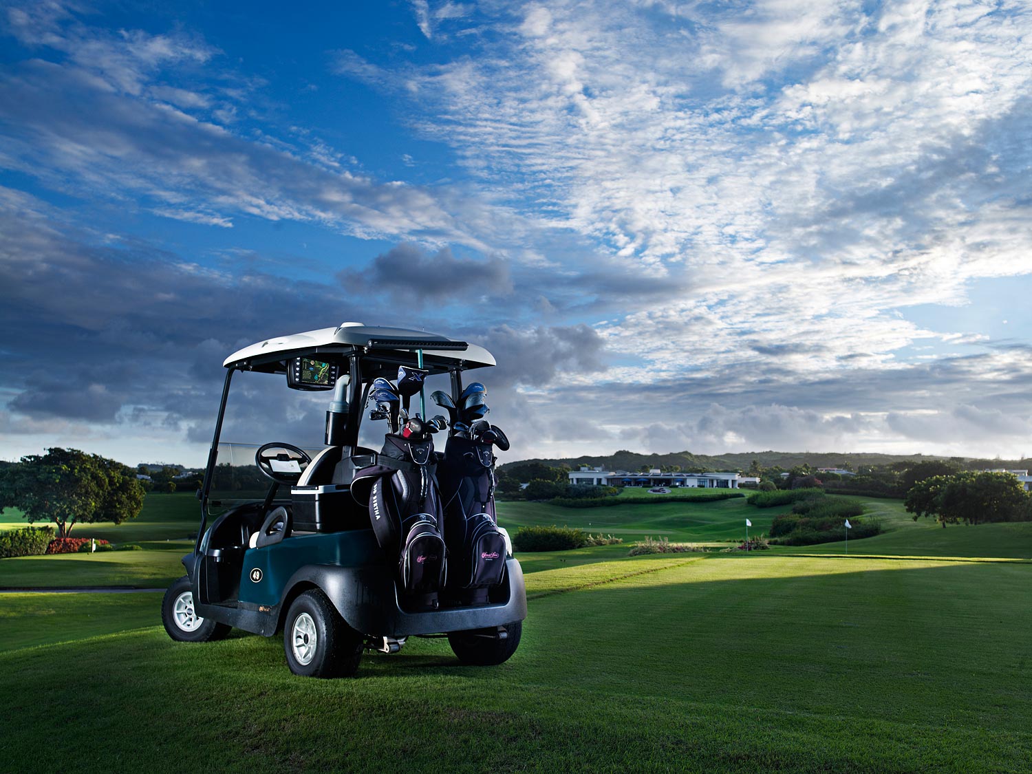 Golf Cart Battery