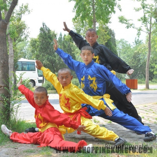 Kids Adults Silk Embroidery Tai Chi Uniform Martial arts Wing Chun Kung fu Suit