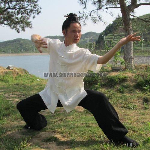 Linen Tai chi Uniforms Shortsleeves Chinese Kung fu Suit Martial arts Uniforms