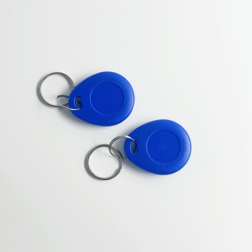 RFID Blue Keychain