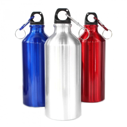 600ml Aluminum Bottle with Carabiner