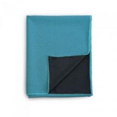 Ecoity Cooling Sport Towel