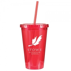 Acrylic Tumbler Cups with Straws