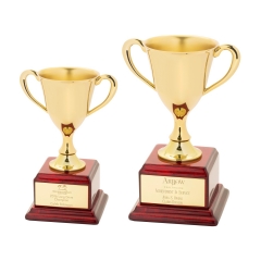 Customized Trophy Awards