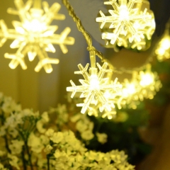 Holiday Decoration LED String lights 