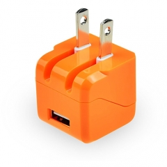 Travel Wall Plug Adapter/ USB Chargers
