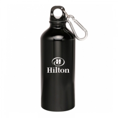 22oz Stainless Steel Water Bottles 