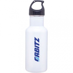 Stainless Steel Water Bottles