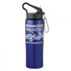 24 oz Stainless Bottle with Handle Top