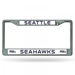  Metallic Auto License Plates