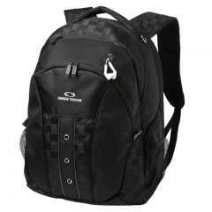 Biz Backpacks /Computer Bags