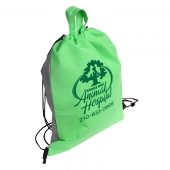 Top Handle Drawstring Backpack