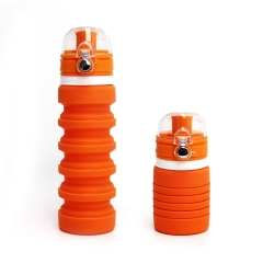 Silicone Collapsible Water Bottle with Carabiner