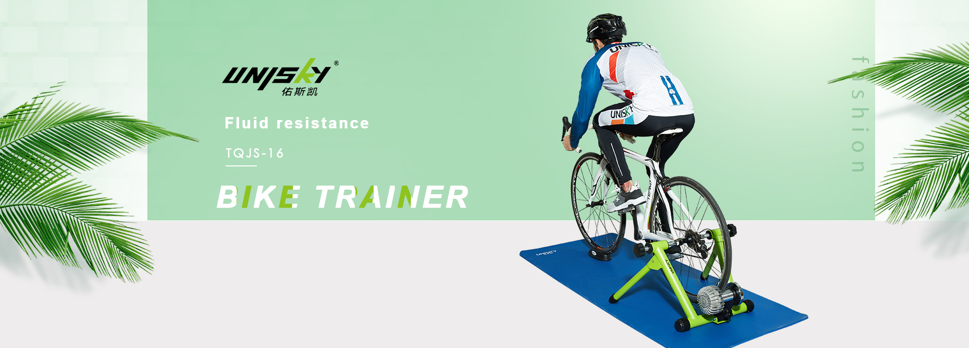 bike resistance trainer