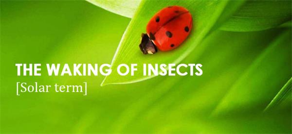 The Waking of Insects