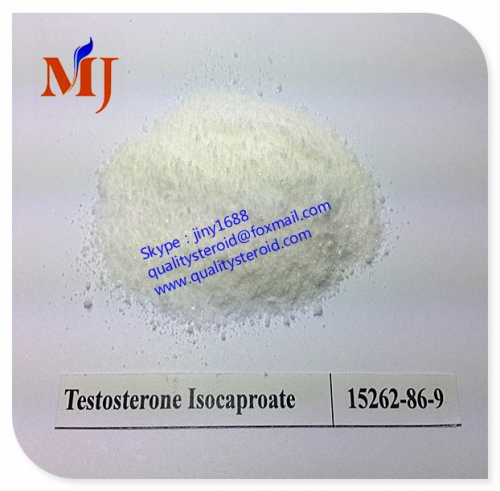 Testosterone Isocaproate