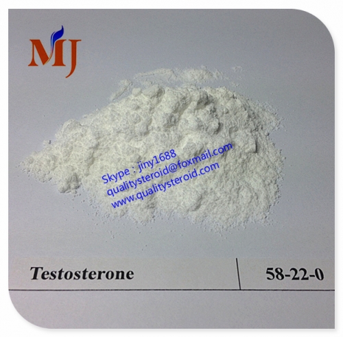 high purity powder Testosterone base no ester