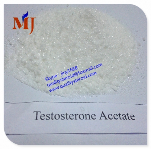 high purity powder Testosterone Acetate