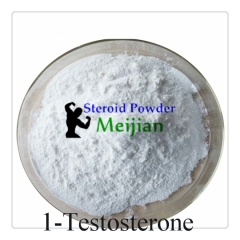 1-Testosterone