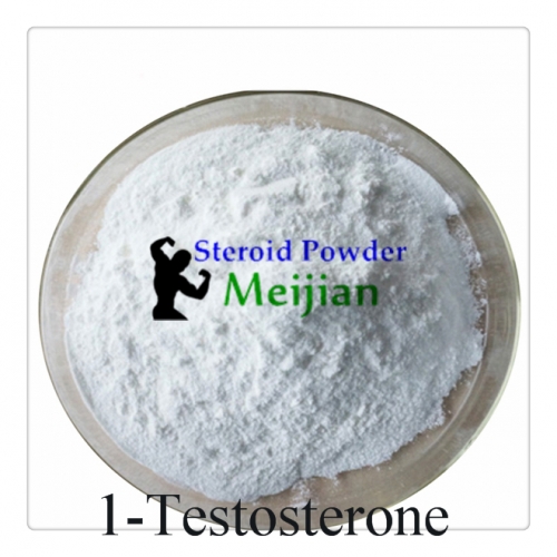 1-Testosterone