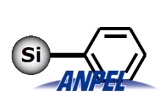 CNWBOND PHE (Phenyl)