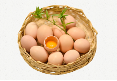 Anpel Laboratory Testing Fipronil in Eggs