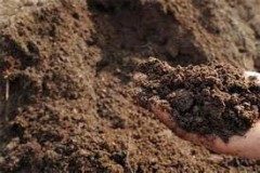 Analysis of Atrazine Residue Dynamic in the Soil in Shenyang