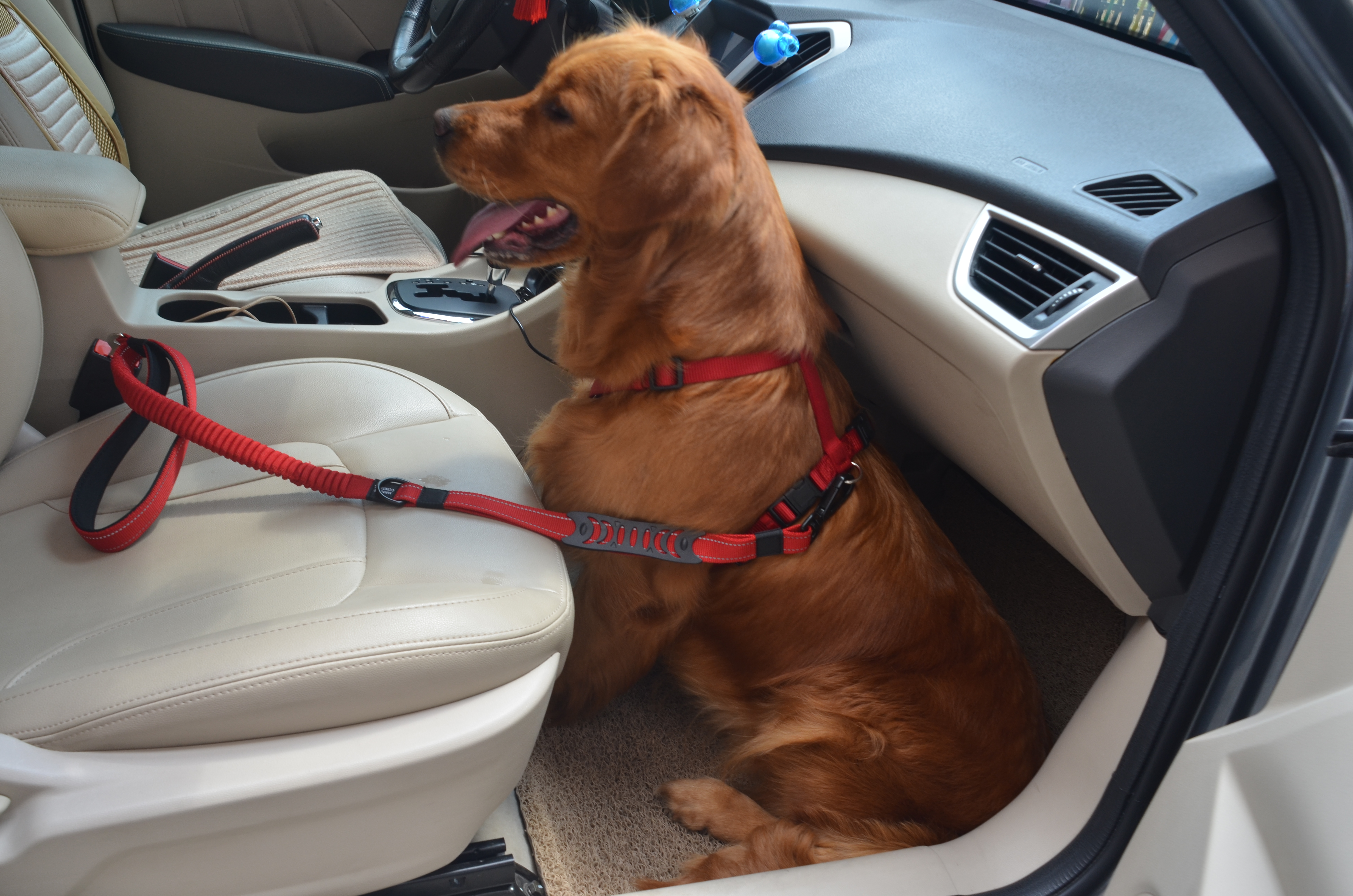 Dog leashes with car seatbelt buckle 1600R,Dog Leash