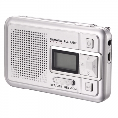 Portable FM/AM PLL Radio With Bluetooth Speaker