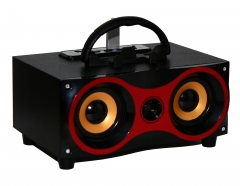 Portable Bluetooth Karaoke Speaker With FM Radio