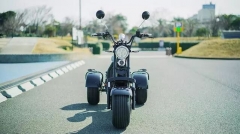 Popular Harley Locomotive