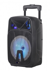 New Portable Karaoke Trolley Speaker