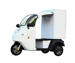 New Style Small and Useful Electric Car