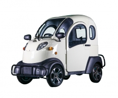 New Style Small and Useful Electric Car
