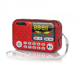 New Portable Radio With Color Screen And Big Buttons