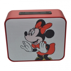 New Portable Bluetooth Speaker With Cartoon Paintings
