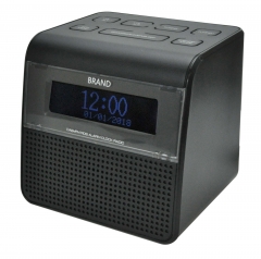 New Portable DAB / DAB+ / RDS FM With Alarm Clock Radio